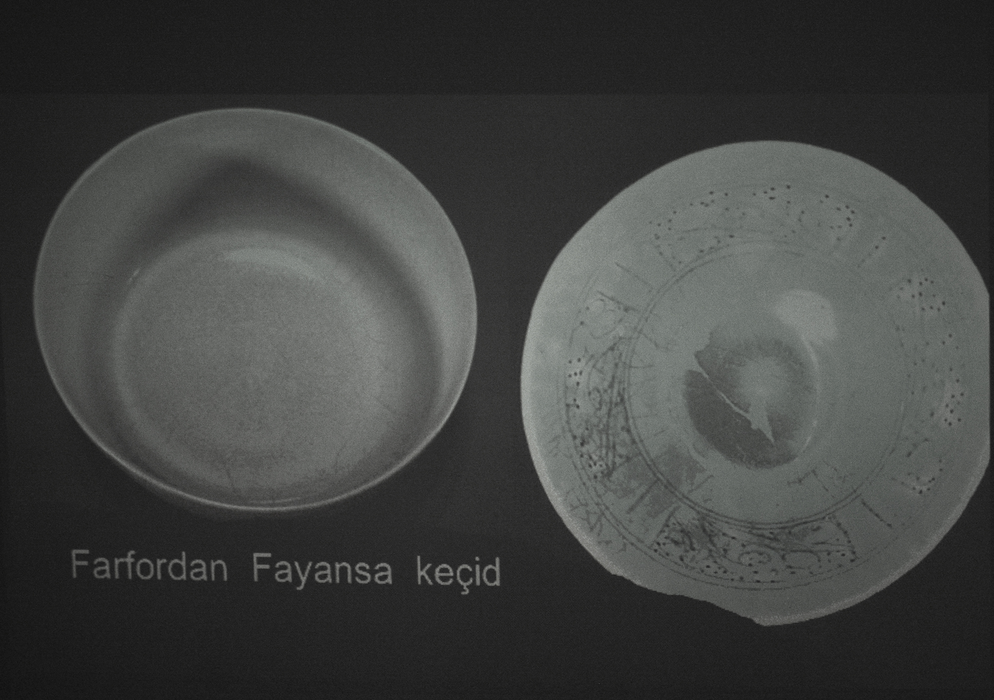 67c7fb750036f.jpg